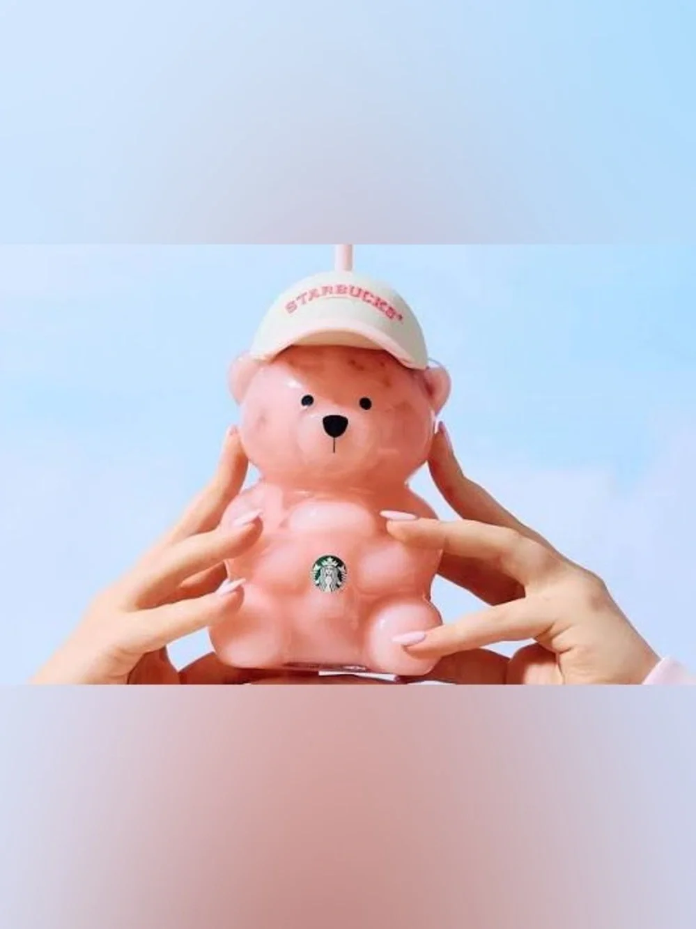 Starbucks Bearista - NEW IN THE BOX FROM STARBUCKS